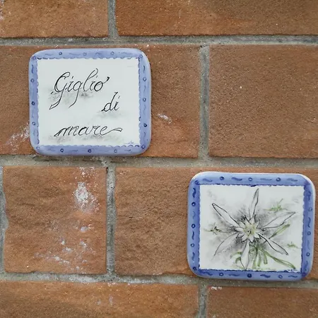 Giglio Di Mare 托雷瓦多